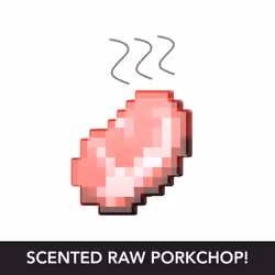 Minecraft DIAMOND LEVEL Pig
