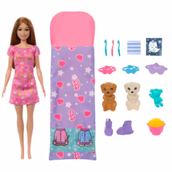 Barbie Doll & Puppy Slumber Party Playset with 2 Toy Dog Figures & 10+ Accessories, Color-Change, Fashion doll, Female, 3 yr( ...