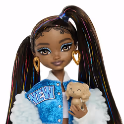 Barbie Dream Besties “Brooklyn' Doll and Accessories