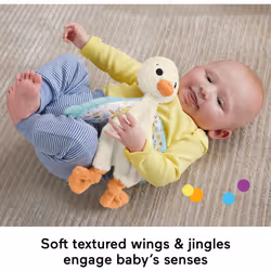 Fisher Price Baby Sensory Toy Snuggle Up Goose Plush with Jingle Sounds for Developmental Play Newborns Ages 3+ Months
