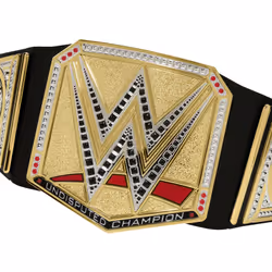 WWE Undisputed Universal Championship Role Play Title
