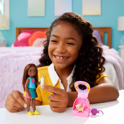 Barbie Chelsea Doll and Accessories