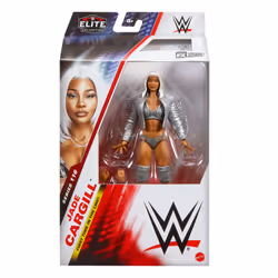 Mattel JCJ08 not categorized