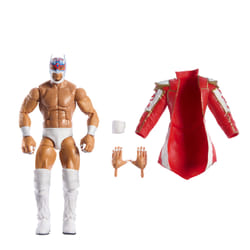 WWE JCH90 collectible figure/statue