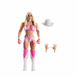WWE JCH92, Collectible action figure, Sport