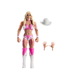 WWE JCH92 collectible figure/statue