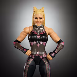 WWE JCH86 collectible figure/statue