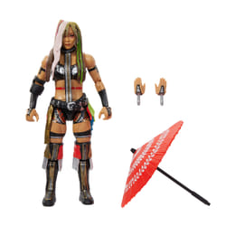 WWE JCJ03 collectible figure/statue
