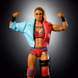 WWE JCH98 collectible figure/statue