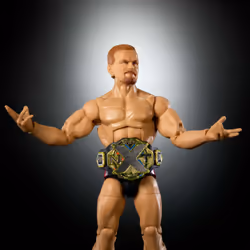 WWE JCH96 collectible figure/statue