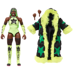WWE JCJ16 collectible figure/statue