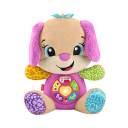Fisher-Price Laugh & Learn JFD35 learning toy