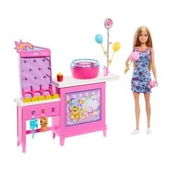 Barbie Mysteries Beach Detectives Doll, Playset and Accessories