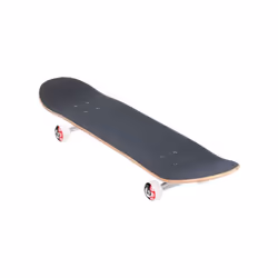 Element Paisel Skateboard Complete Sz 7.75in  Assorted (ALYXW00108)