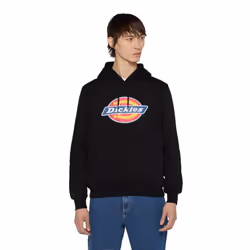 Dickies Icon Logo Polyester Unisex Adults Black Hooded Sweatshirt - Black, S