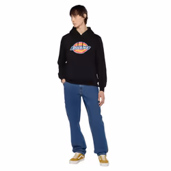 Dickies Icon Logo Polyester Unisex Adults Black Hooded Sweatshirt - Black, M