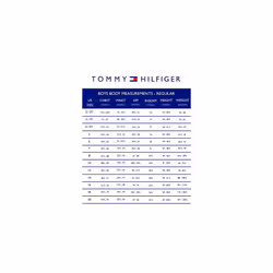 Tommy Hilfiger Boys' 4-Piece Formal Suit Set  Includes Shirt  Dress Pa