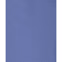 Van Heusen Boys' Long Sleeve Collared Button-Down Dress Shirt and Tie