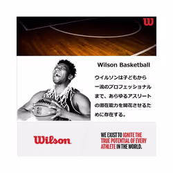 Wilson NBA Authentic Travel Bag - Holds 6 Balls