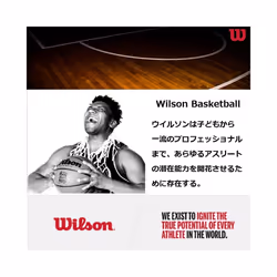 Wilson NBA Authentic Series Basketball - Indoor  Size 7 - 29.5""