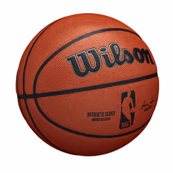 Wilson WTB7200XB07 basketball Indoor & outdoor Brown