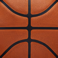 Wilson NBA DRV Pro Indoor & outdoor Black, Brown, White - Additional view 5