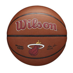 Wilson WTB3100XBMIA basketball Indoor & outdoor Brown