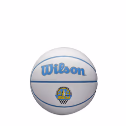 WILSON WNBA Mini Autograph Basketball - Chicago Sky Size 3-22""""