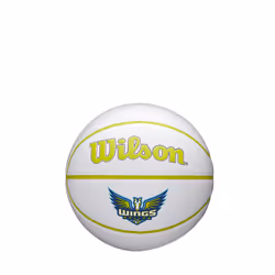 WILSON WNBA Mini Autograph Basketball - Dallas Wings Size 3-22""""
