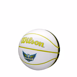 WILSON WNBA Mini Autograph Basketball - Dallas Wings  Size 3-22""""