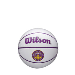 WILSON WNBA Mini Autograph Basketball - Los Angeles Sparks  Size 3-22""""