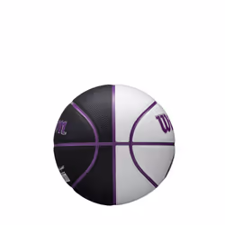 WILSON WNBA Mini Autograph Basketball - Los Angeles Sparks  Size 3-22""""