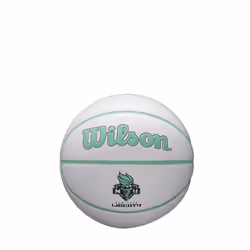WILSON WNBA Mini Autograph Basketball - New York Liberty Size 3-22""""