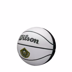 WILSON WNBA Mini Autograph Basketball - Seattle Storm  Size 3-22""""