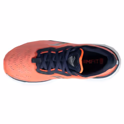 Saucony Women's Triumph 19 Running Shoe  Sunstone/Night  6