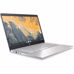 HP Chromebook Pro c640 Enterprise Intel® Pentium® Gold 6405U 35.6 cm (14") Full HD 8 GB DDR4-SDRAM 32 GB eMMC Wi-Fi 6 (802.11ax) ChromeOS Silver