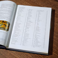Dungeons & Dragons (DDN) Player's Handbook 2024