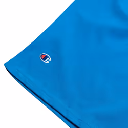 Champion Big and Tall Shorts for Men - Side Script Jersey Athletic Gym