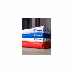 Champion Big and Tall Shorts for Men - Side Script Jersey Athletic Gym