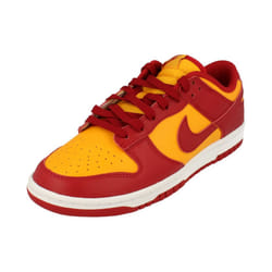 Nike Dunk Low Retro Mens Trainers Dd1391 Sneakers Shoes - 7.5