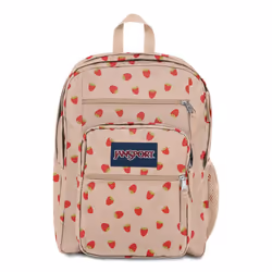 JanSport Laptop Backpack - Computer Bag with 2 Compartments Ergonomic Shoulder Straps 15Laptop Sleeve Haul Handle - Book R ...