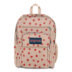 JanSport Laptop Backpack - Computer Bag with 2 Compartments  Ergonomic Shoulder Straps  15Laptop Sleeve  Haul Handle - Book Rucksack - Strawberry Show