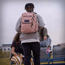 JanSport Laptop Backpack - Computer Bag with 2 Compartments  Ergonomic Shoulder Straps  15Laptop Sleeve  Haul Handle - Book Rucksack - Strawberry Show