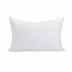 Amazon Basics Down Alternative Pillows  Soft Density for Stomach and Back Sleepers  Queen - Pack of 2  White  30 in L x 20 in W