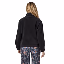 Patagonia Women's Microdini Zip Fleece Pullover - Patagonia Women's Microdini 1/2-Zip Fleece Pullover - L