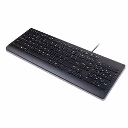 Lenovo Essential keyboard Universal USB QWERTY UK English Black