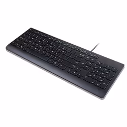 Lenovo Essential keyboard Universal USB QWERTZ German Black - Additional view 3