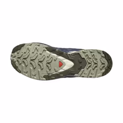 Salomon XA PRO 3D V9  India Ink/Olive Night/Aloe Wash  11 M
