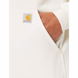 Carhartt mens Loose Fit Midweight Logo Sleeve Graphic Hooded Sweatshir