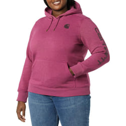 Carhartt womens Clarksburg Graphic Sleeve Pullover (Regular and Plus S